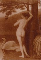 Naked with swan - s.d.